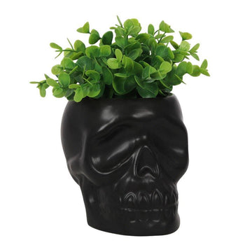 Black Ceramic Skull Planter-Earth Fairy Holistics