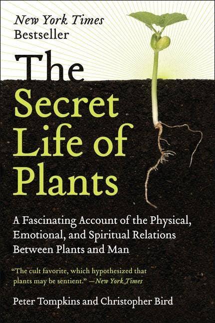 Secret Life of Plants-Earth Fairy Holistics