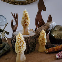 Morel Mushroom Beeswax Candle-Earth Fairy Holistics