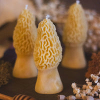 Morel Mushroom Beeswax Candle-Earth Fairy Holistics