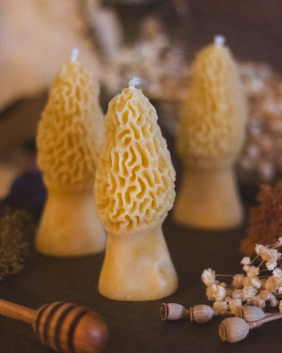 Morel Mushroom Beeswax Candle-Earth Fairy Holistics