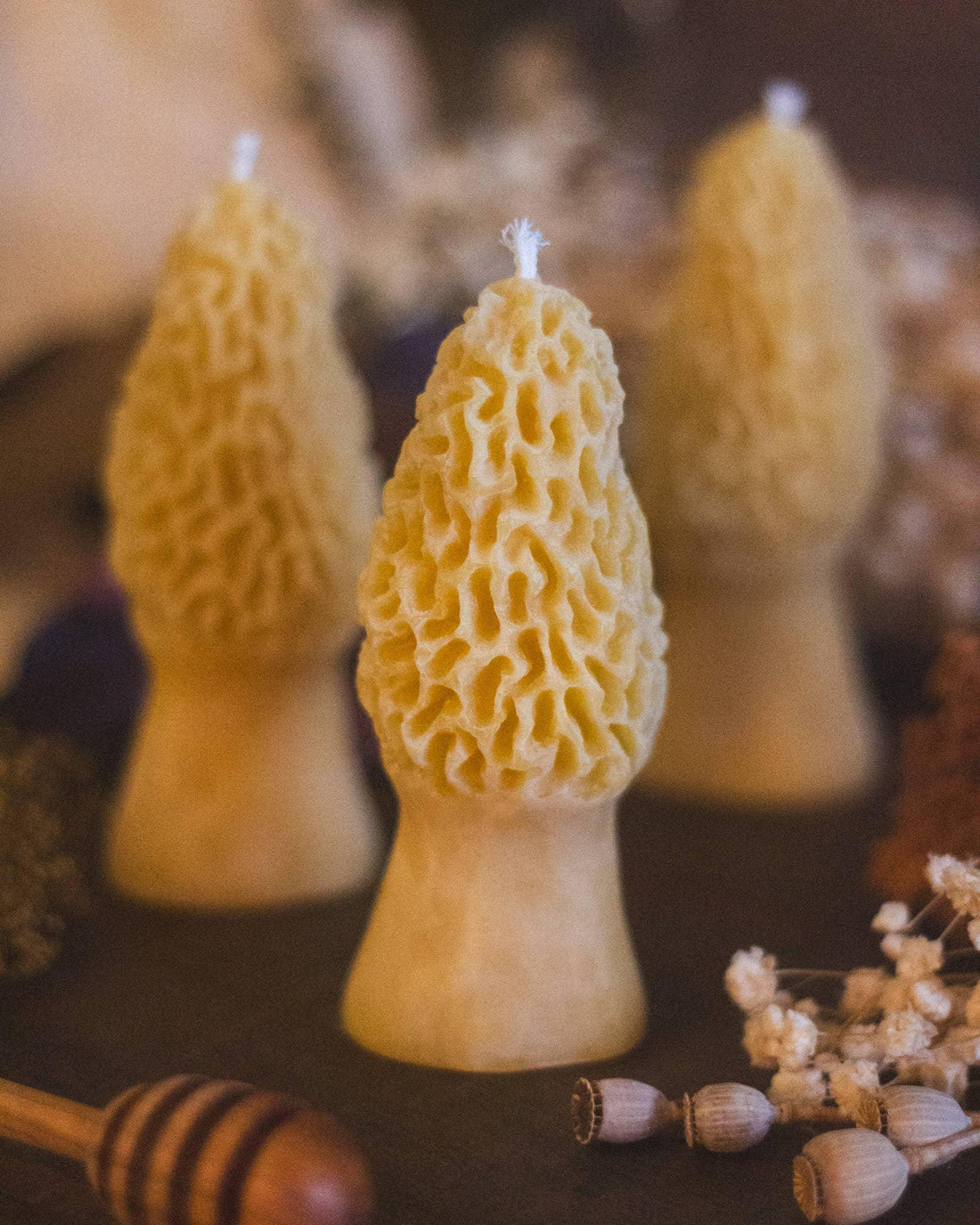 Morel Mushroom Beeswax Candle-Earth Fairy Holistics