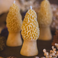 Morel Mushroom Beeswax Candle-Earth Fairy Holistics