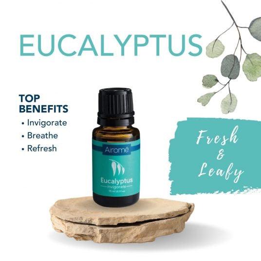 Airomé Eucalyptus Essential Oil-Earth Fairy Holistics