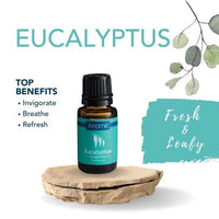 Airomé Eucalyptus Essential Oil-Earth Fairy Holistics