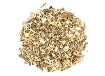 Organic Angelica Root (Angelica archangelica L.)-Earth Fairy Holistics