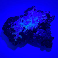 Black Tourmaline Cluster Specimen w/Fluorescent Hyalite Opal - AA Grade-Handmade Naturals Inc