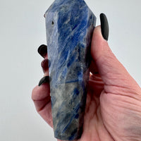 Blue Kyanite with Mixed Quartz Scepter Wand-Earth Fairy Holistics