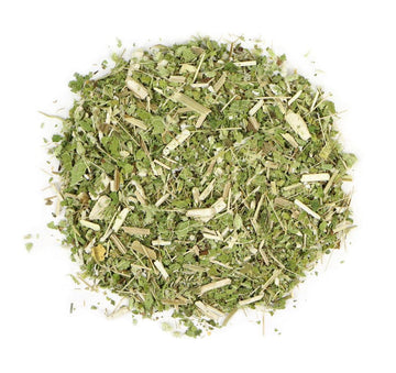 Organic Boneset Herb (Eupatorium perfoliatum)-Earth Fairy Holistics