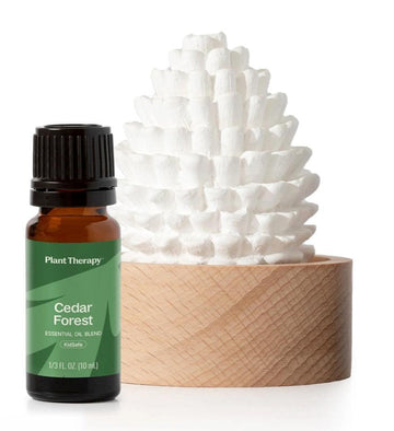 Cedar & Pine Passive Diffuser Set-Earth Fairy Holistics