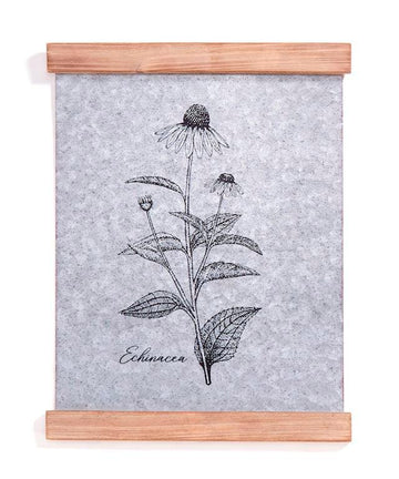 Echinacea Wall Decor-Earth Fairy Holistics