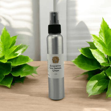 Eucalyptus Spa Shower Spray-Earth Fairy Holistics