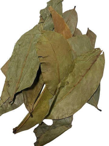 Organic Graviola Soursop Leaves - Whole (Annona muricata)-Earth Fairy Holistics