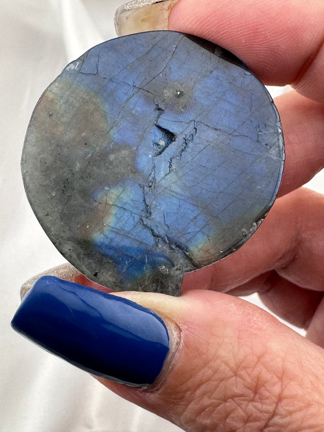 Labradorite Wolf Carving-Earth Fairy Holistics