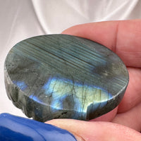 Labradorite Wolf Carving-Earth Fairy Holistics