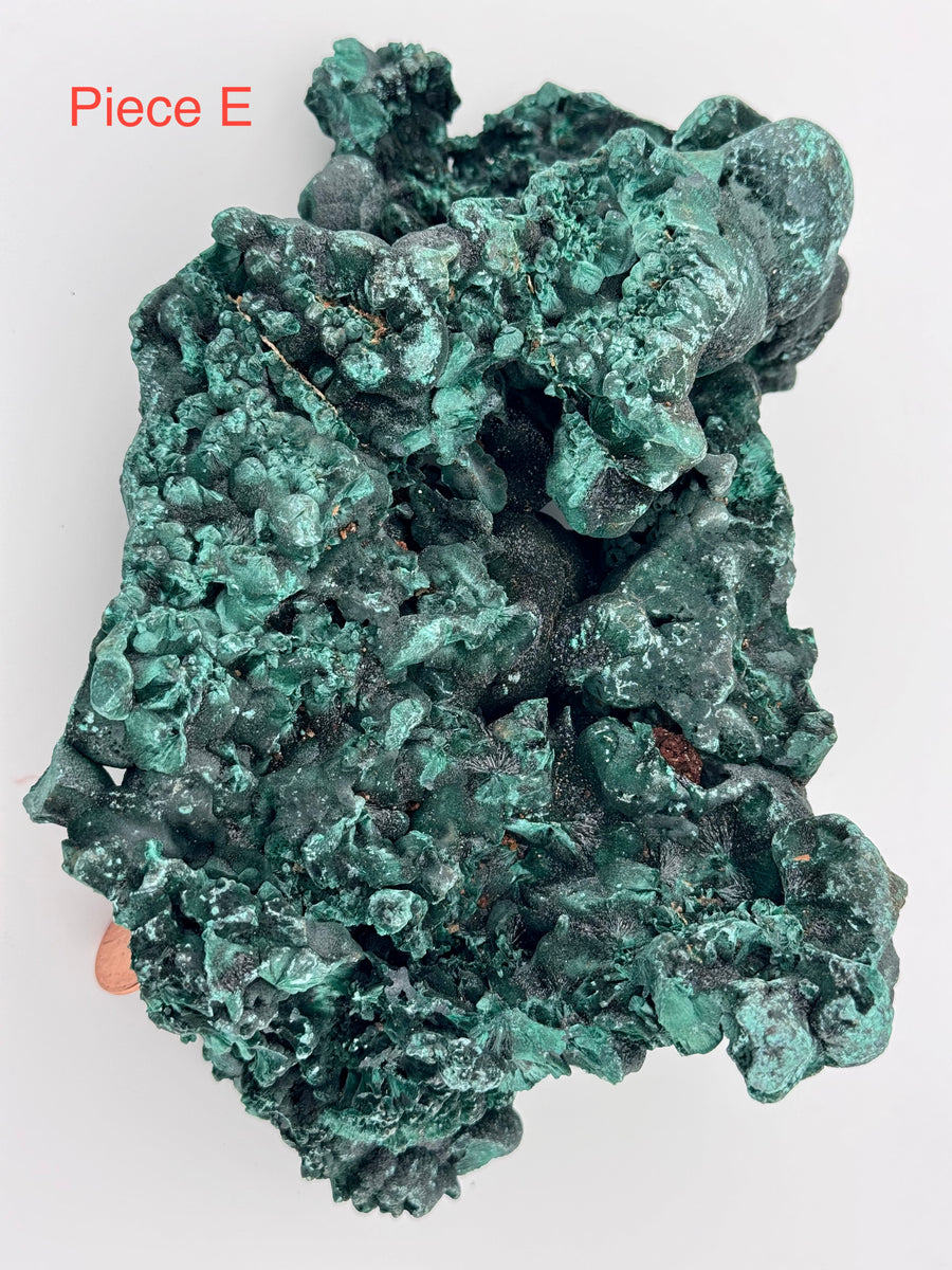 Malachite Specimens-Earth Fairy Holistics