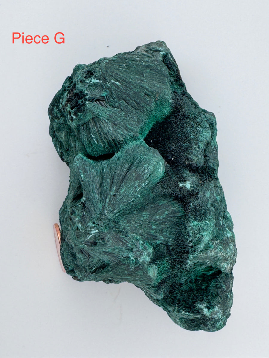 Malachite Specimens-Handmade Naturals Inc