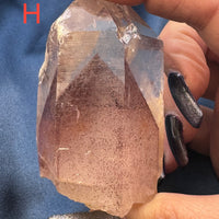 Phantom Quartz Rough Polished Points-Handmade Naturals Inc