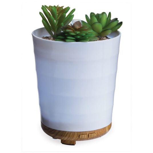 Potted Succulent Ultra Sonic Essential Oil Diffuser-Earth Fairy Holistics