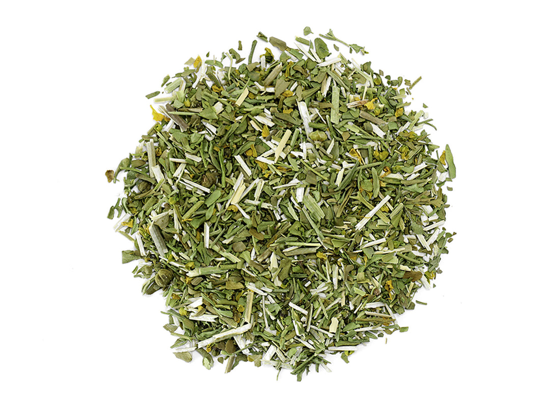 Organic Rue (Ruta graveolens)-Earth Fairy Holistics