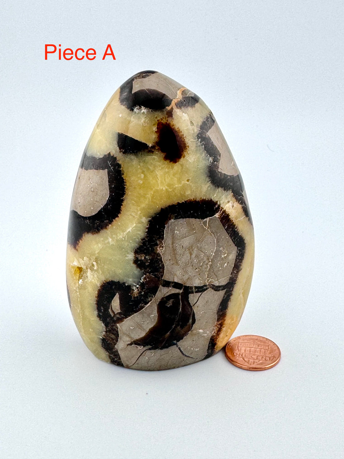 Septarian Free Form-Earth Fairy Holistics