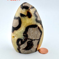 Septarian Free Form-Handmade Naturals Inc