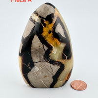 Septarian Free Form-Earth Fairy Holistics