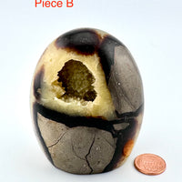 Septarian Free Form-Earth Fairy Holistics