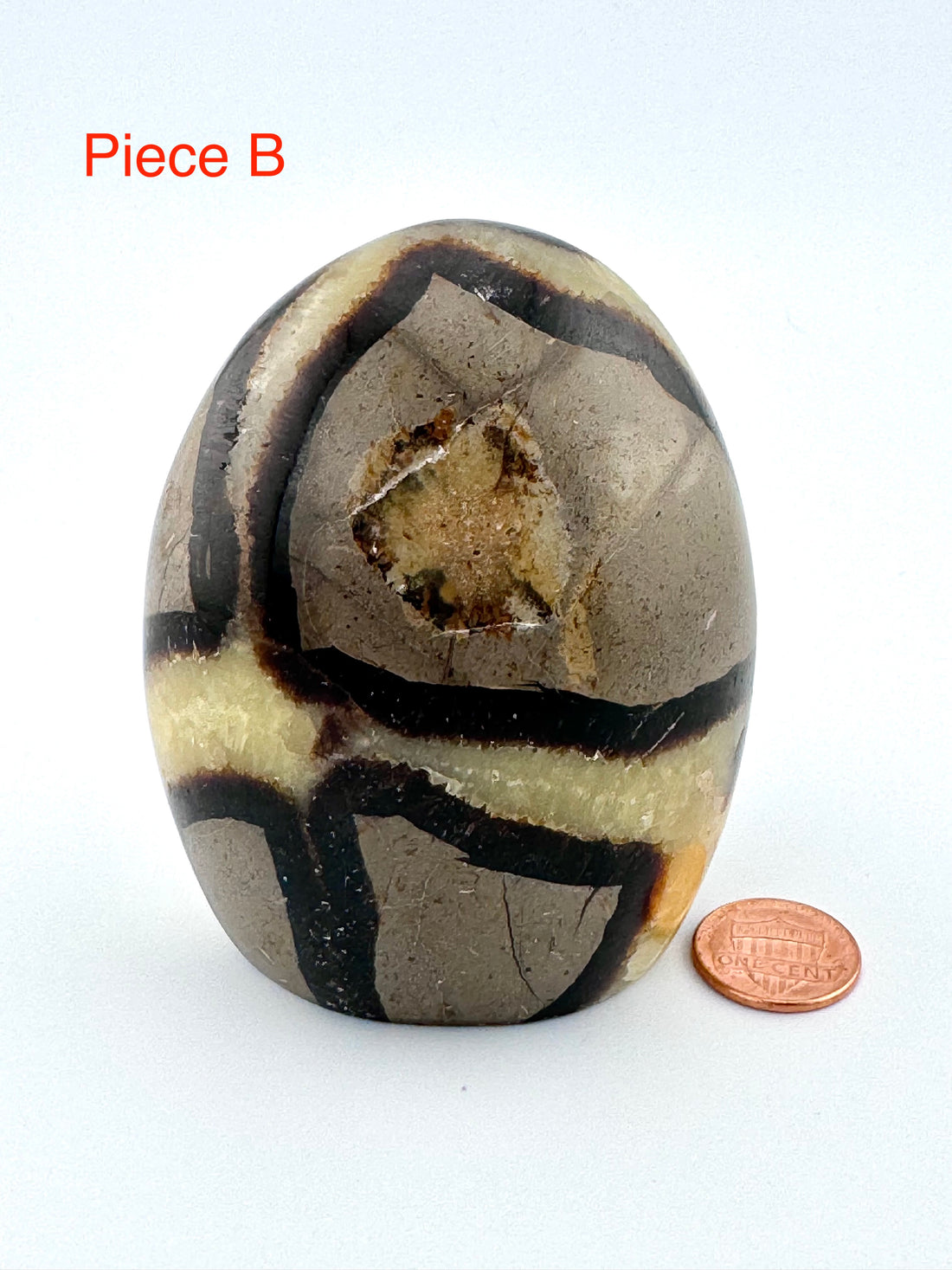 Septarian Free Form-Earth Fairy Holistics