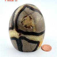 Septarian Free Form-Earth Fairy Holistics