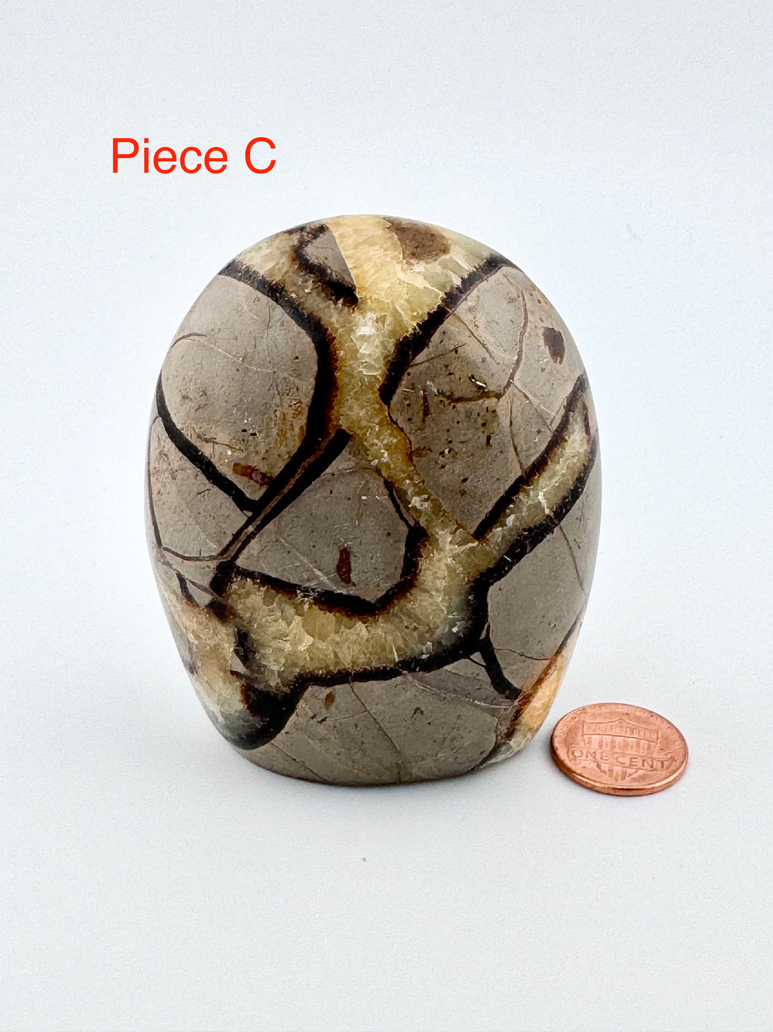 Septarian Free Form-Earth Fairy Holistics