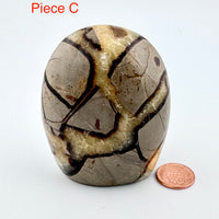 Septarian Free Form-Handmade Naturals Inc