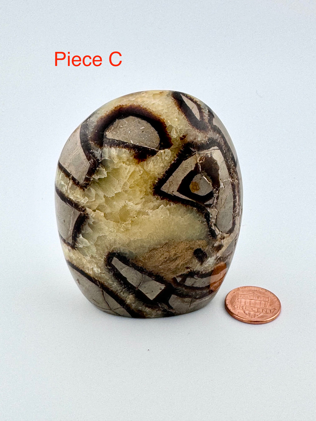 Septarian Free Form-Earth Fairy Holistics