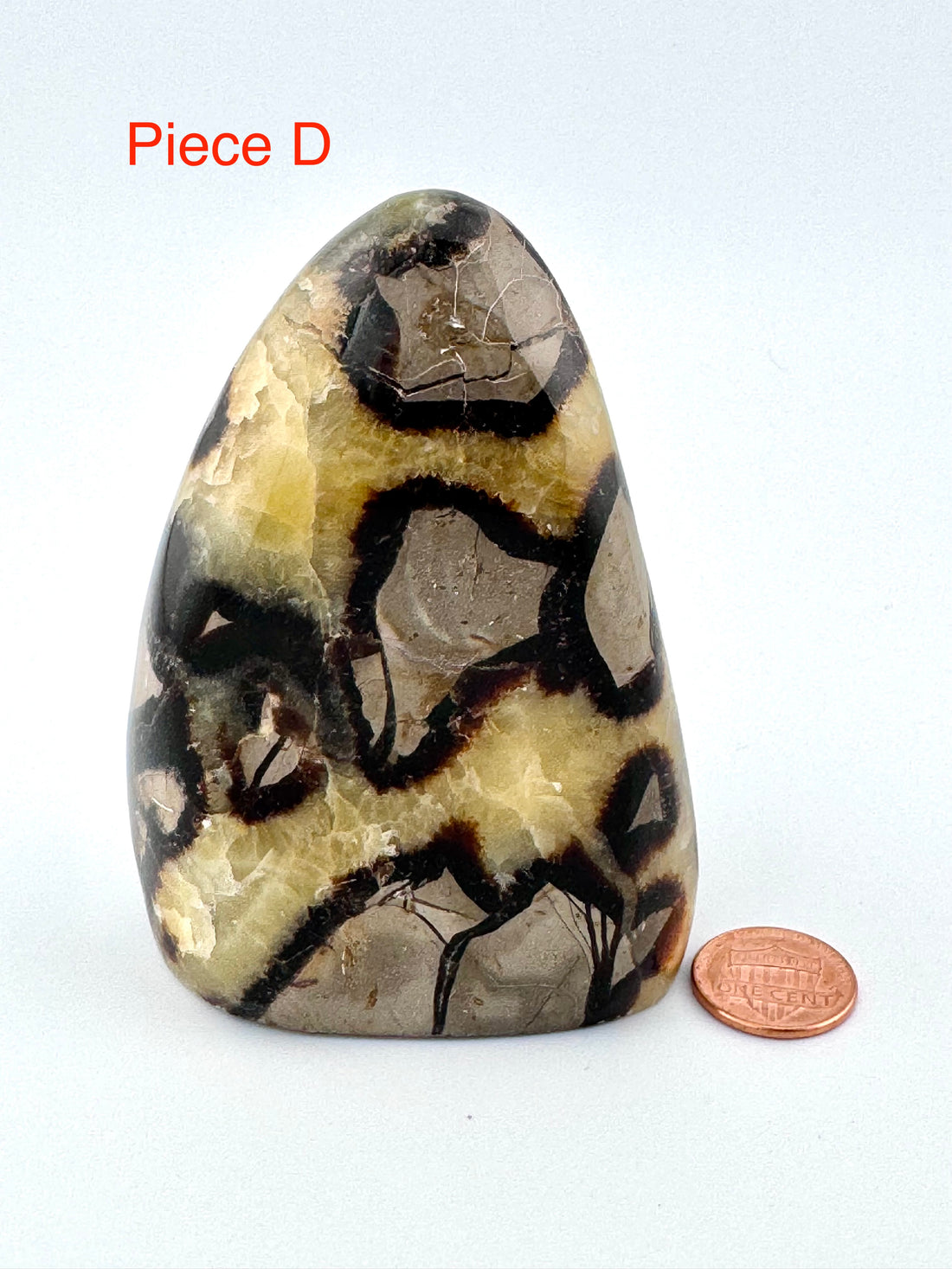 Septarian Free Form-Handmade Naturals Inc