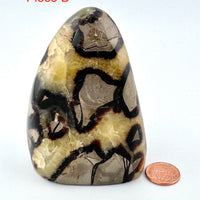 Septarian Free Form-Handmade Naturals Inc