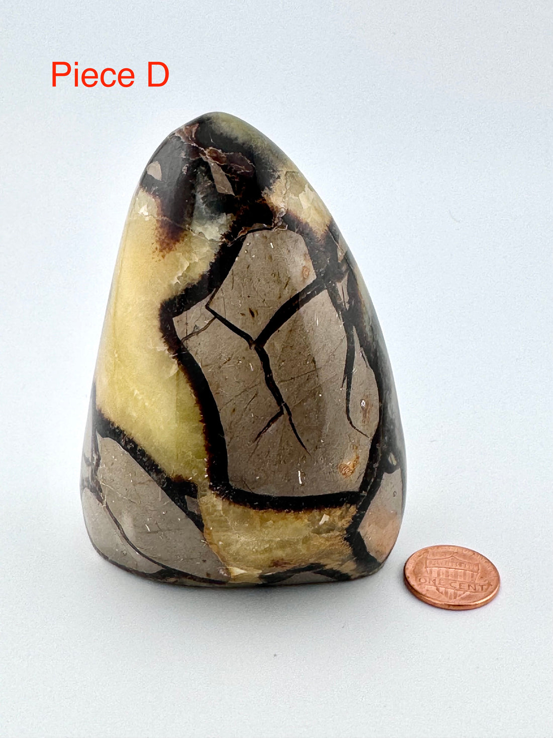 Septarian Free Form-Earth Fairy Holistics