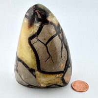 Septarian Free Form-Handmade Naturals Inc