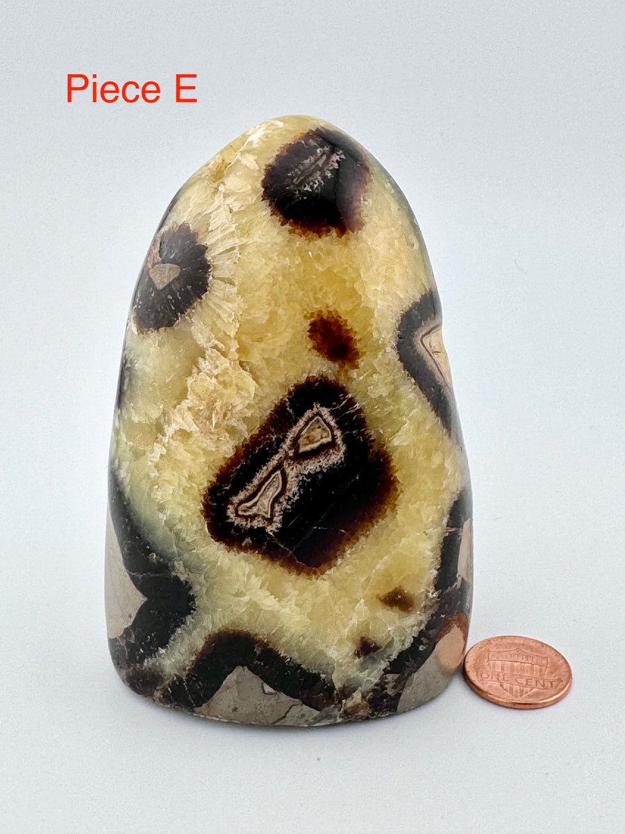 Septarian Free Form-Earth Fairy Holistics