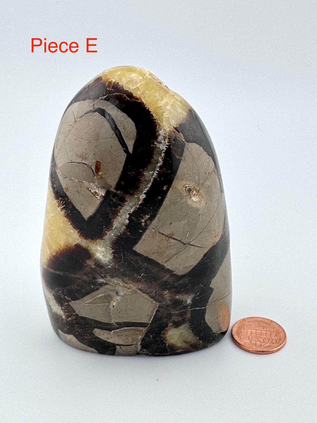 Septarian Free Form-Earth Fairy Holistics