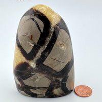 Septarian Free Form-Earth Fairy Holistics