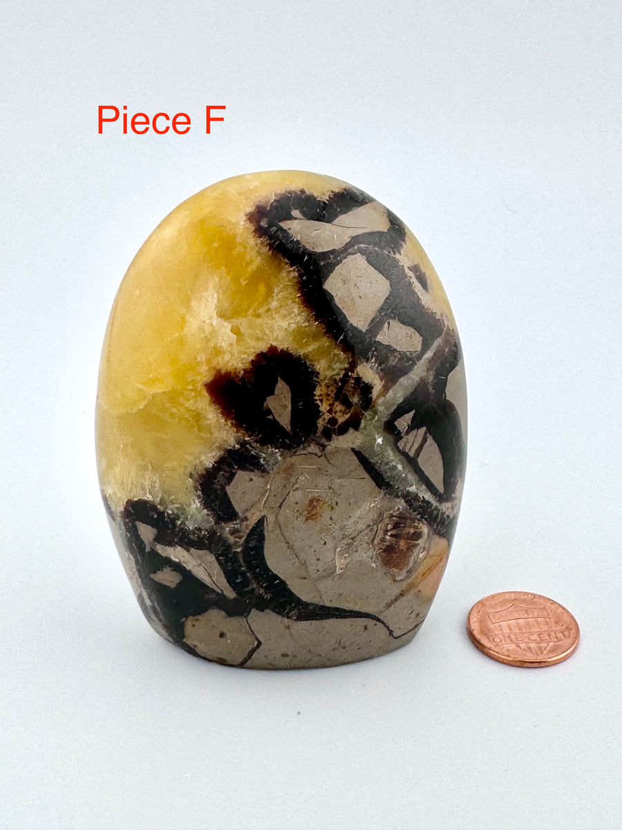 Septarian Free Form-Handmade Naturals Inc