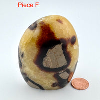 Septarian Free Form-Handmade Naturals Inc