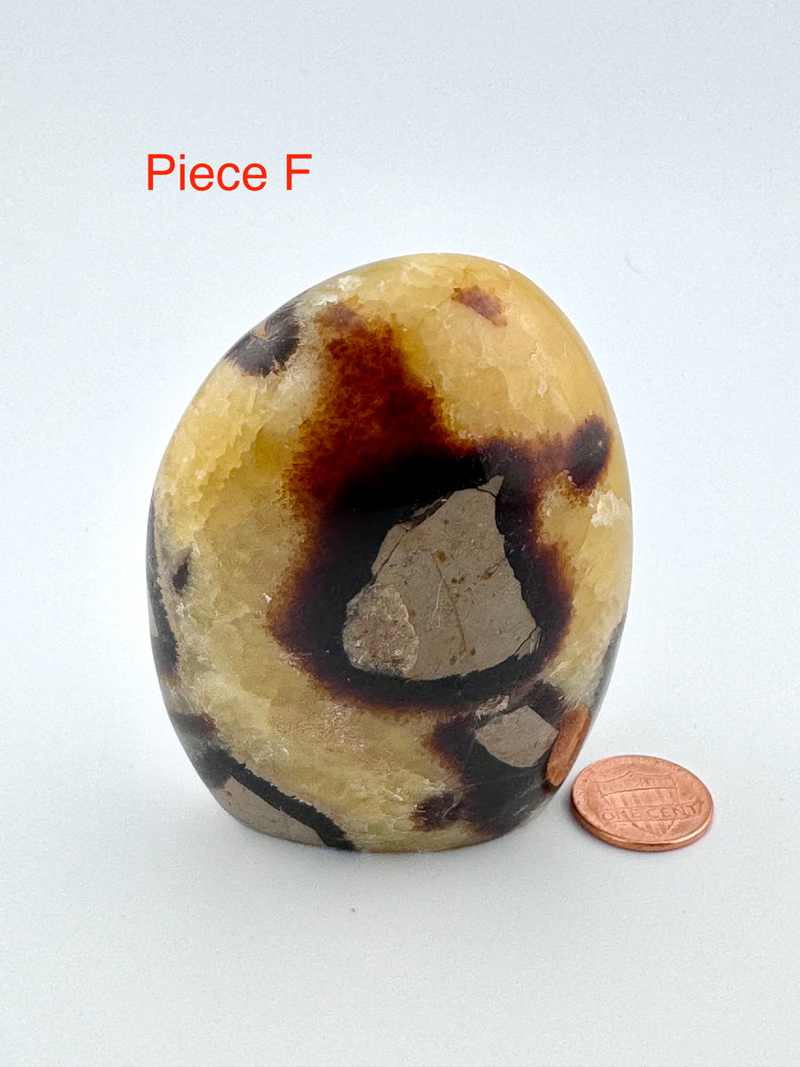 Septarian Free Form-Earth Fairy Holistics