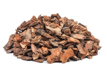 Wild Crafted White Pine Bark (Pinus albicaulis)-Earth Fairy Holistics