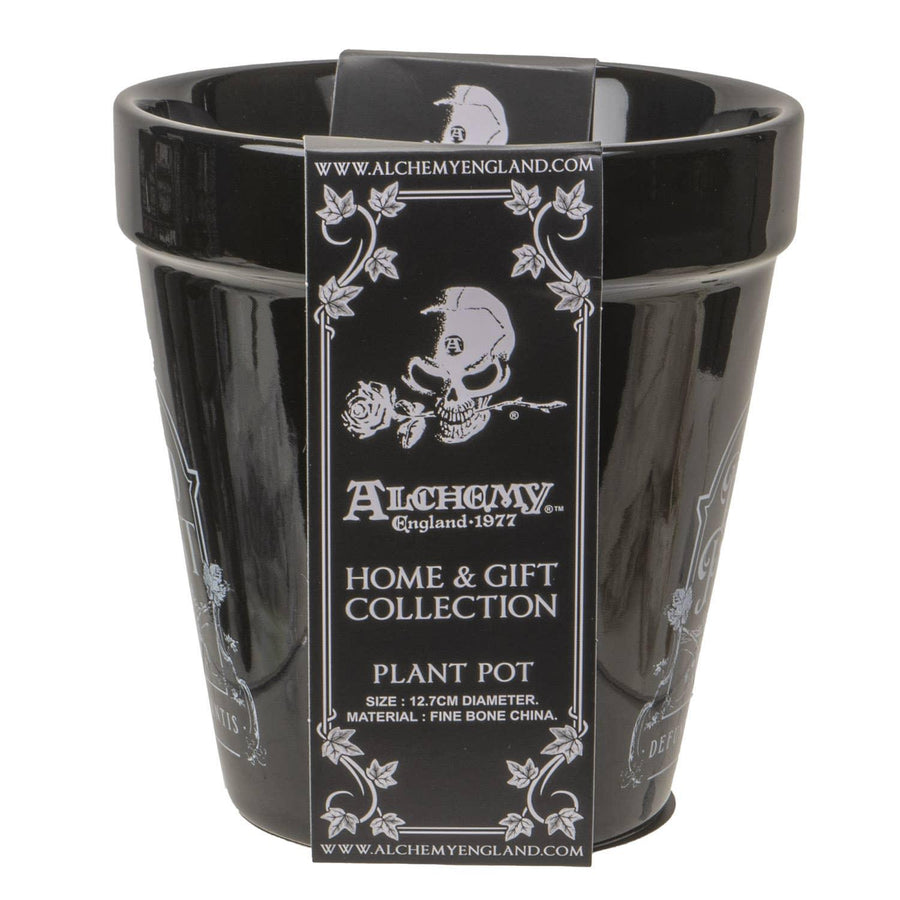 "Dead Plant" Planter Pot-Earth Fairy Holistics