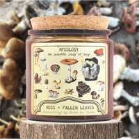 Aromachology / Mushroom Candle / Science Candle / Museum-Earth Fairy Holistics