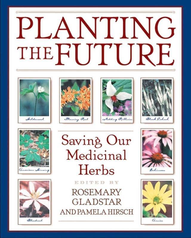 Planting the Future: Saving Our Medicinal Herbs-Earth Fairy Holistics