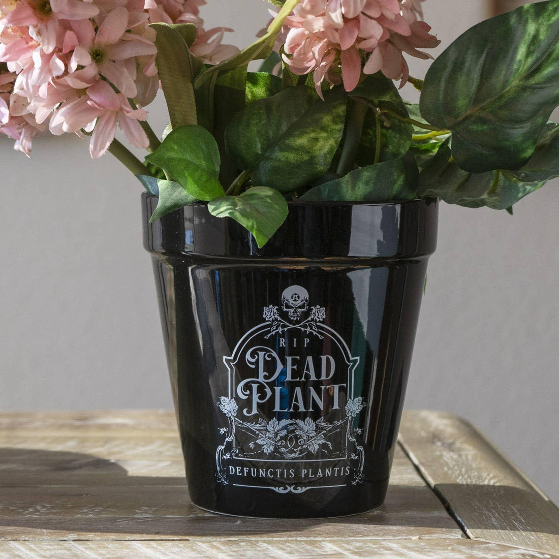 "Dead Plant" Planter Pot-Earth Fairy Holistics