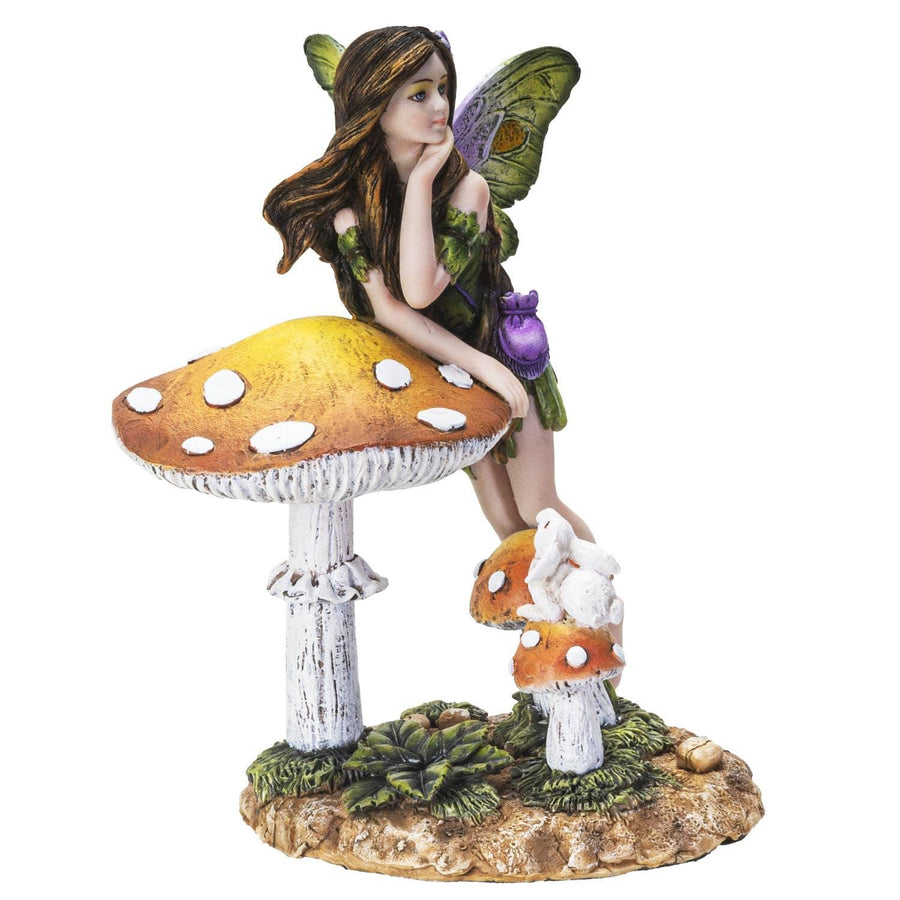 Mushroom and Toadstool Fairy-Earth Fairy Holistics