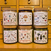 Aromachology / Mushroom Candle / Science Candle / Museum-Earth Fairy Holistics